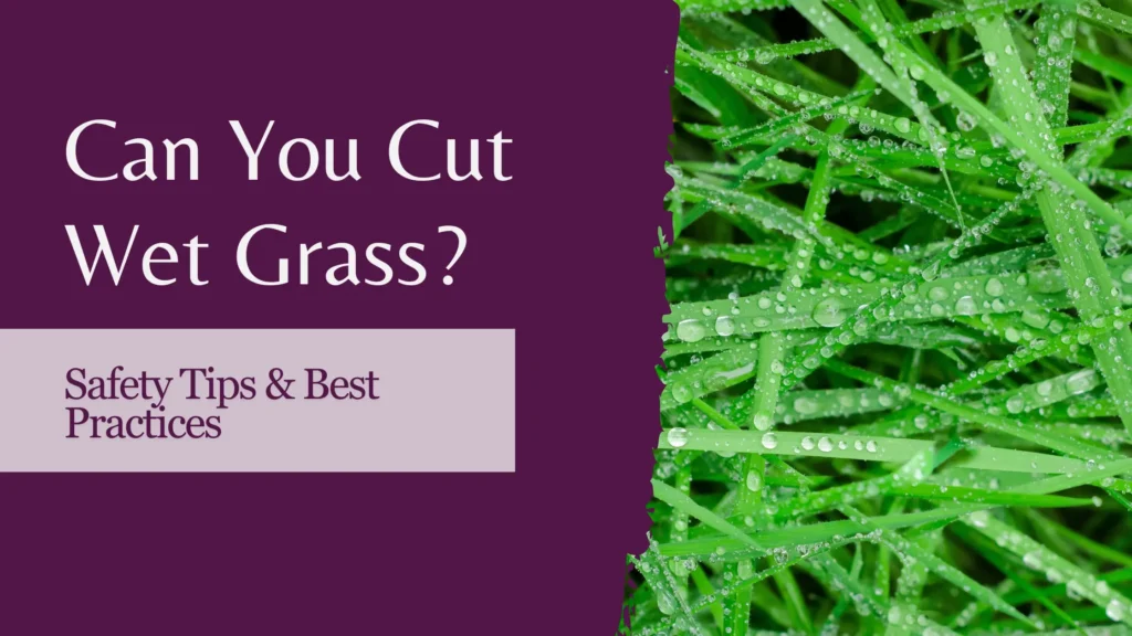 Can You Cut wet grass