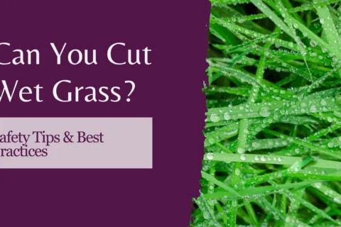 Can You Cut wet grass