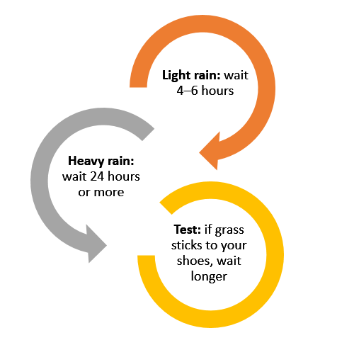 How Long After Rain Can You Mow?