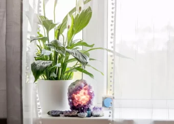 How to Find the Feng Shui Money Corner of Your Home