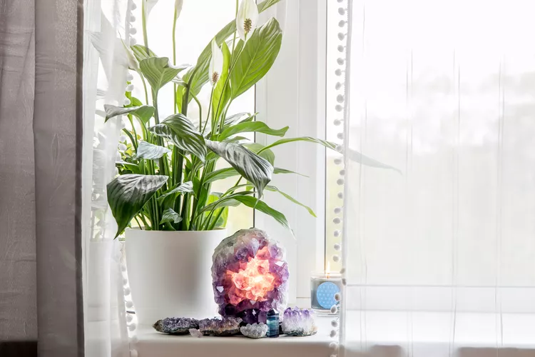How to Find the Feng Shui Money Corner of Your Home