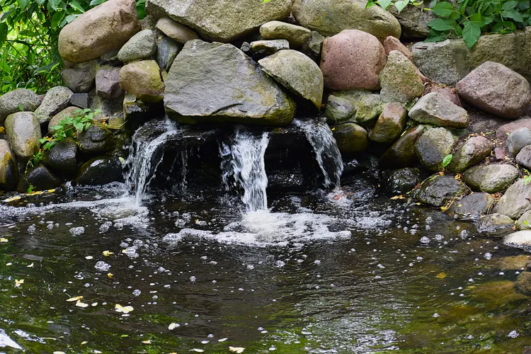 We Checked With Landscaping Pros and They Said Your Water Feature Might Not Be Such a Good Idea