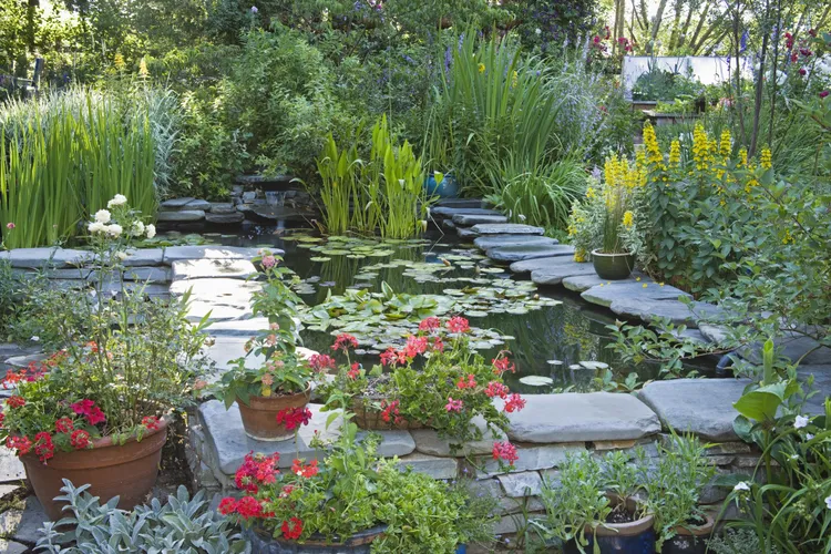 6 Common Landscaping Choices Gardeners Say Are Actually the Hardest to Maintain